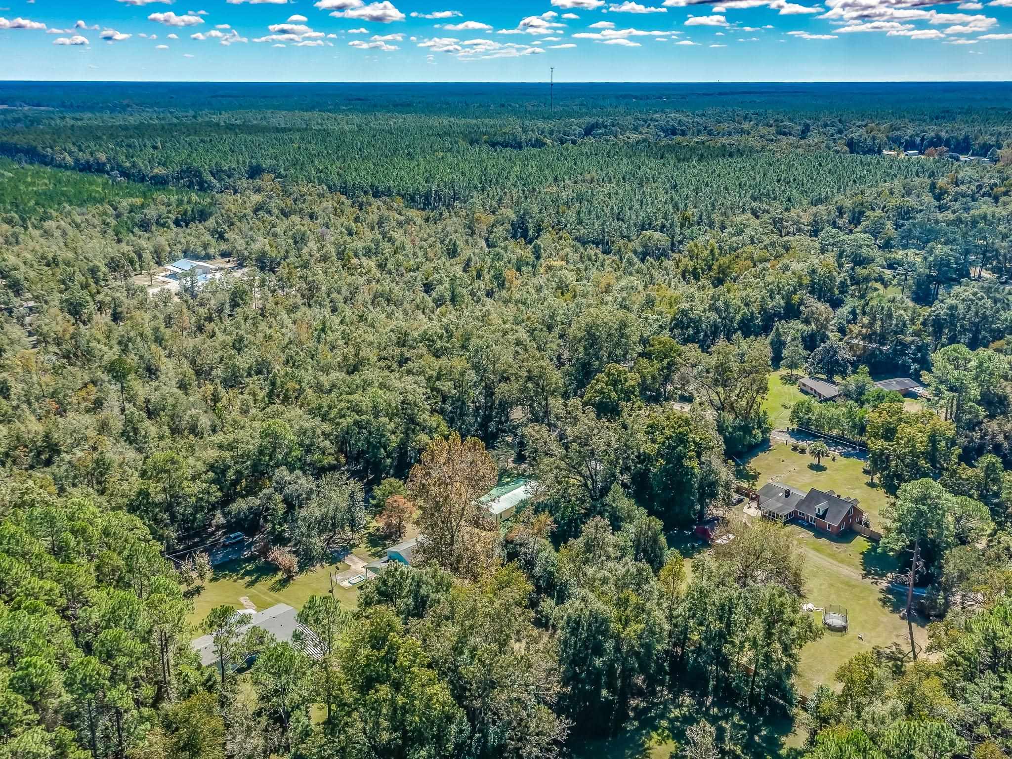 8730 Taff Road Tallahassee, FL 32305 - Photo 3 of 37