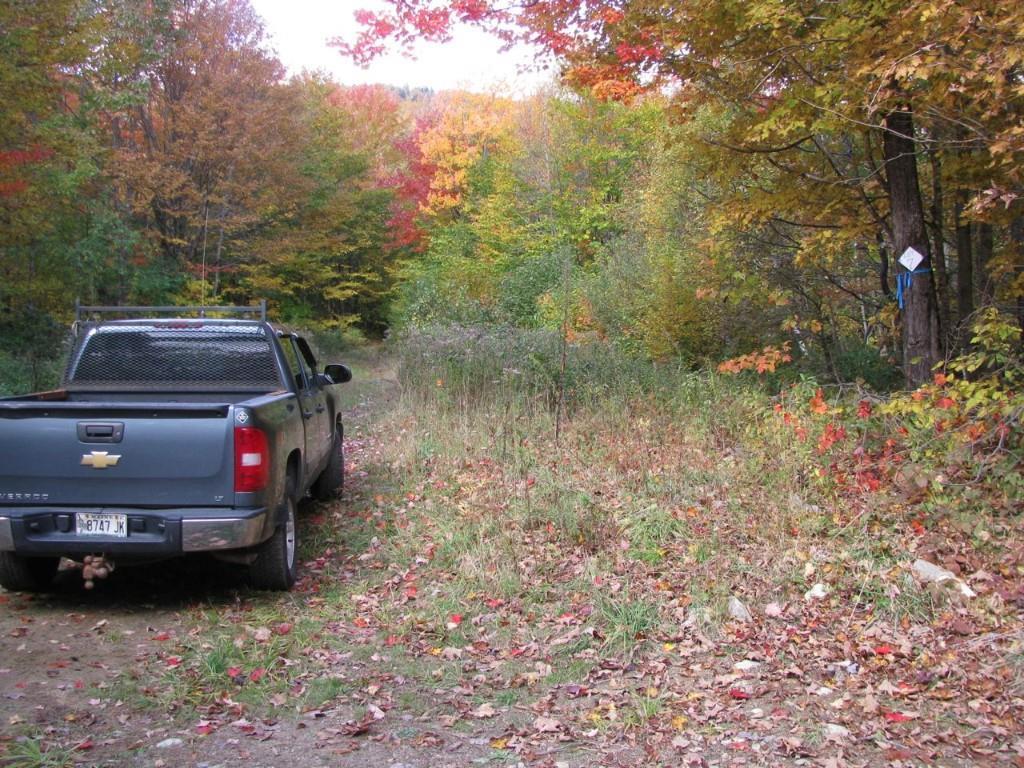 0 Basin Carthage, ME 04224 - Photo 6 of 29 Photo