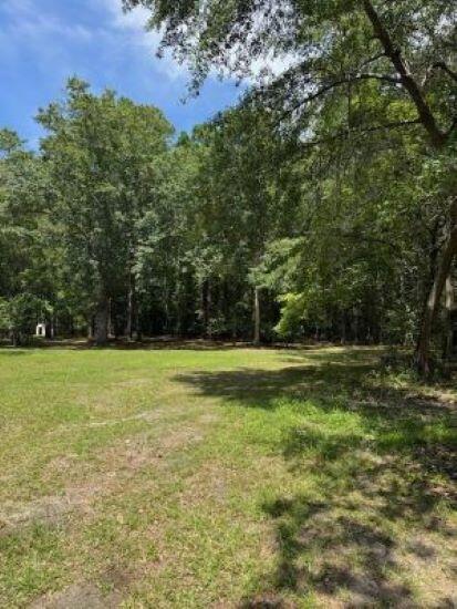133 Rutledge Drive Eutawville, SC 29048 - Photo 1 of 7 133rutledgemain