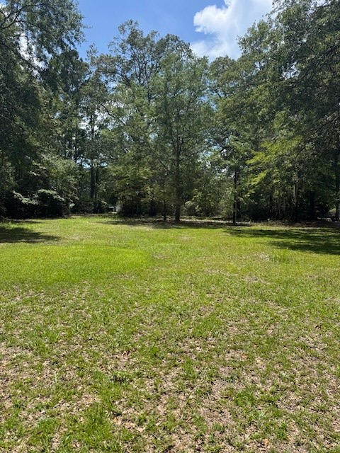 133 Rutledge Drive Eutawville, SC 29048 - Photo 3 of 7 133rutledge2