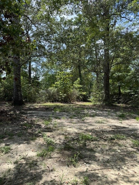 133 Rutledge Drive Eutawville, SC 29048 - Photo 4 of 7 133rutledge3
