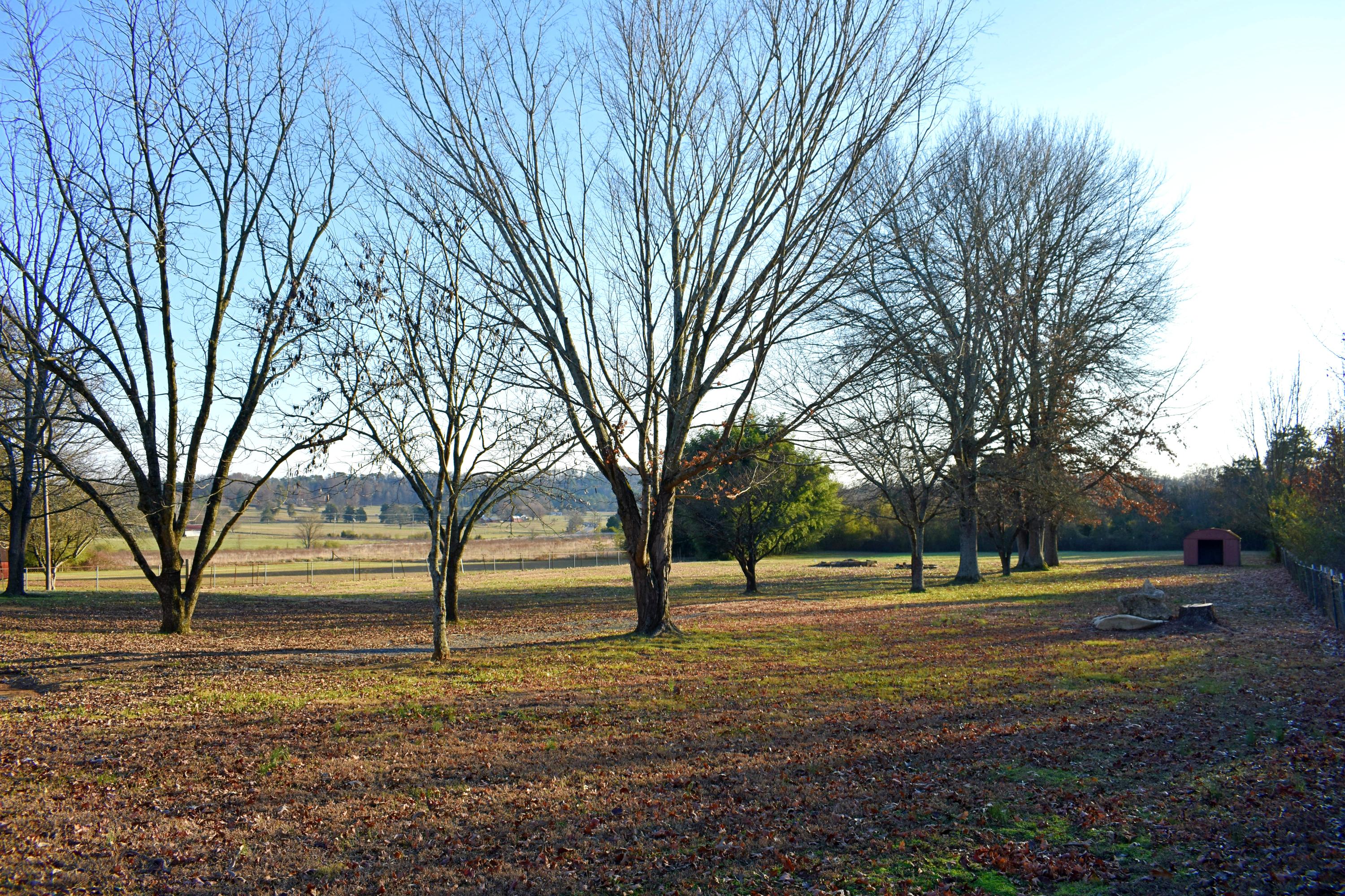 1143 New Hope Road Southeast Cleveland, TN 37323 - Photo 4 of 40 7 yard1