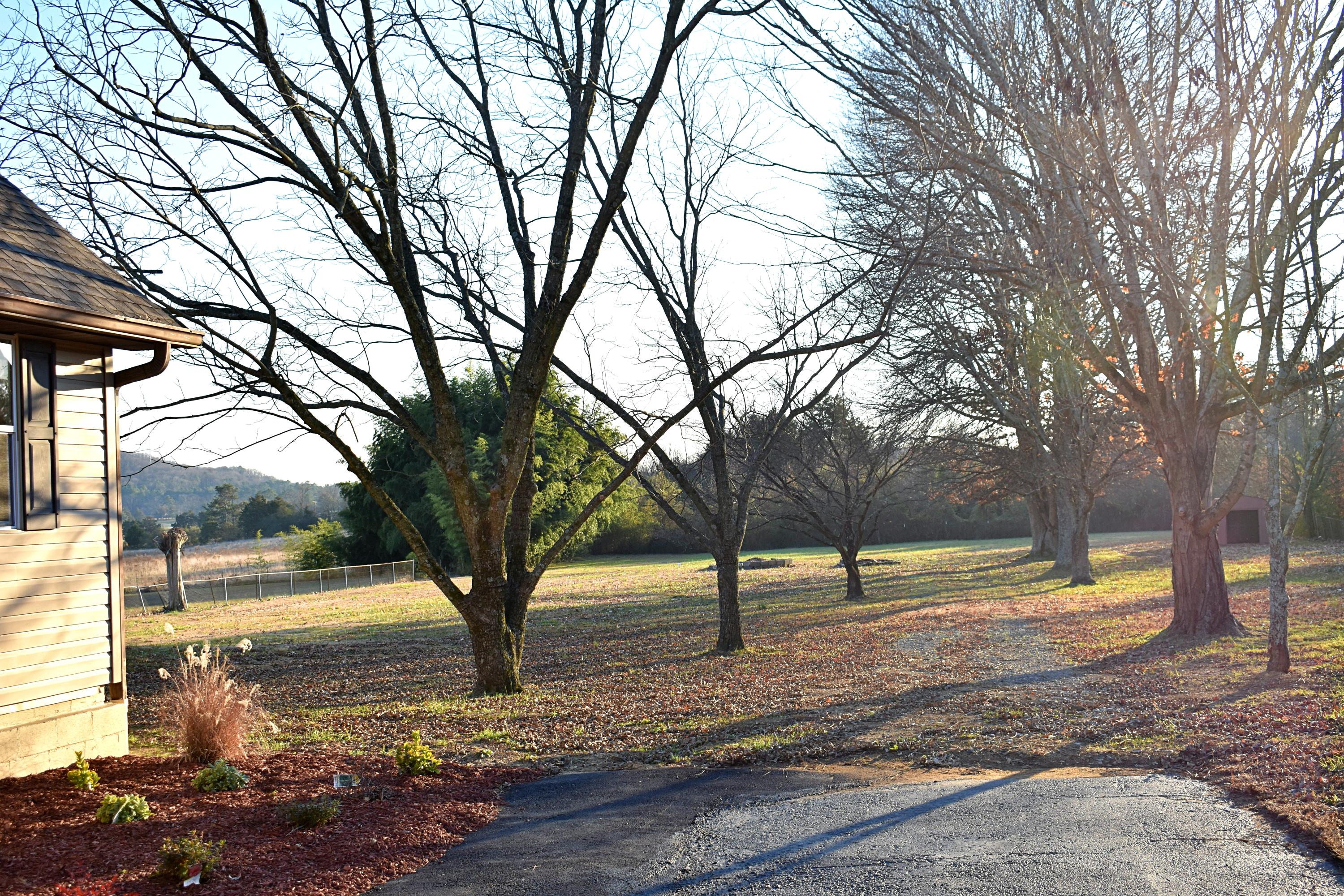 1143 New Hope Road Southeast Cleveland, TN 37323 - Photo 5 of 40 8 Yard2
