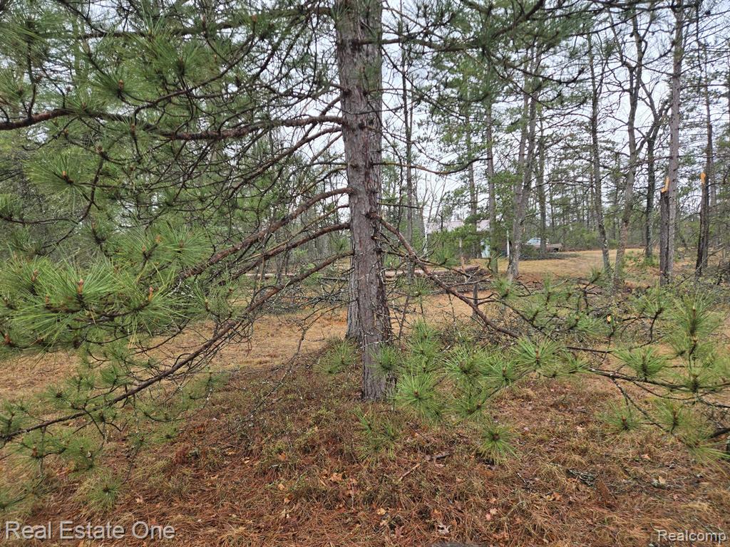 3774 South Stephan Bridge Road Grayling, MI 49738 - Photo 4 of 26 Gallery Image 4