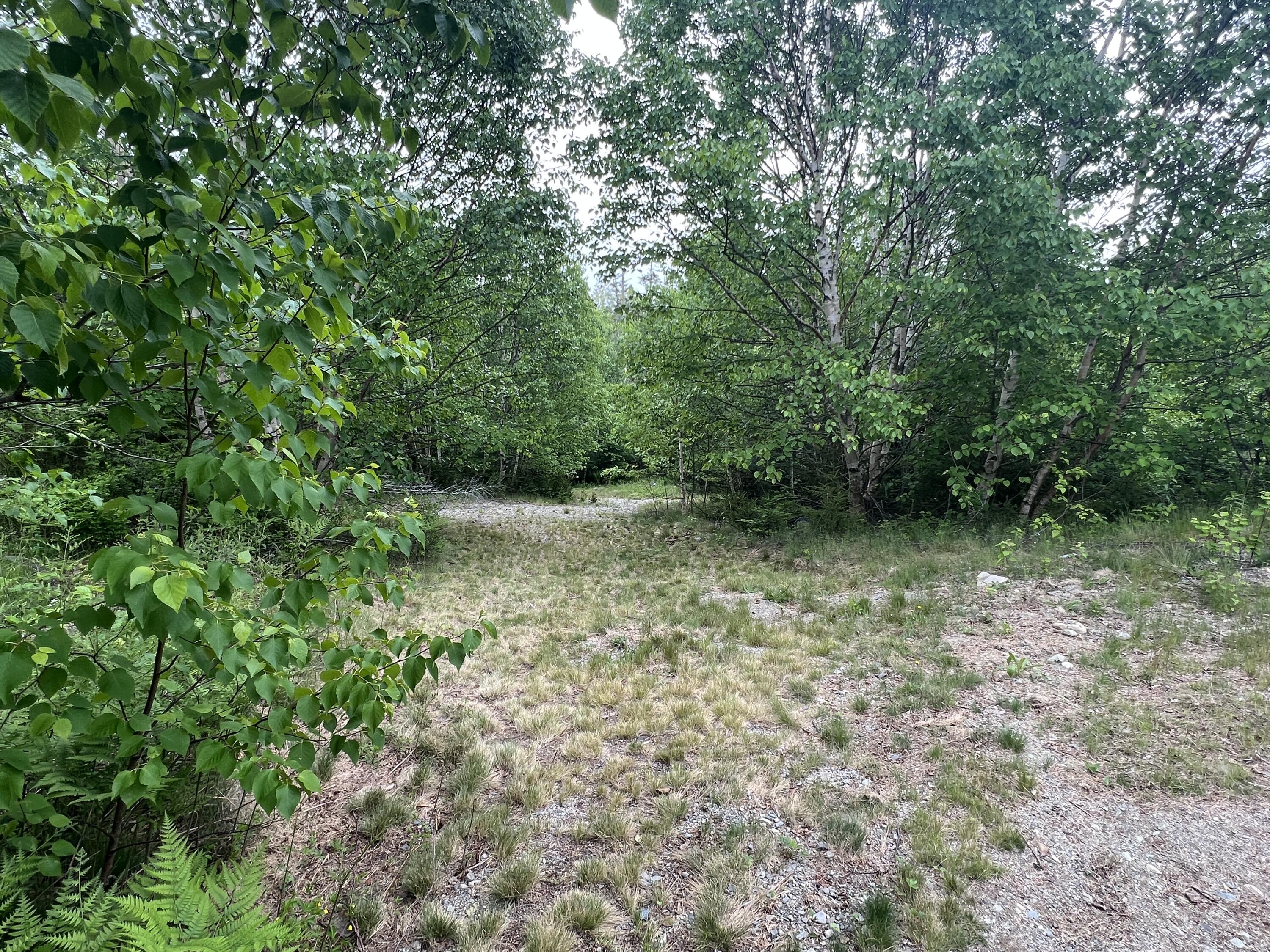 630 Basin Road Addison, ME 04606 - Photo 7 of 35 CDCCBF40-69D4-4BE7-ABCB-5216258B1850