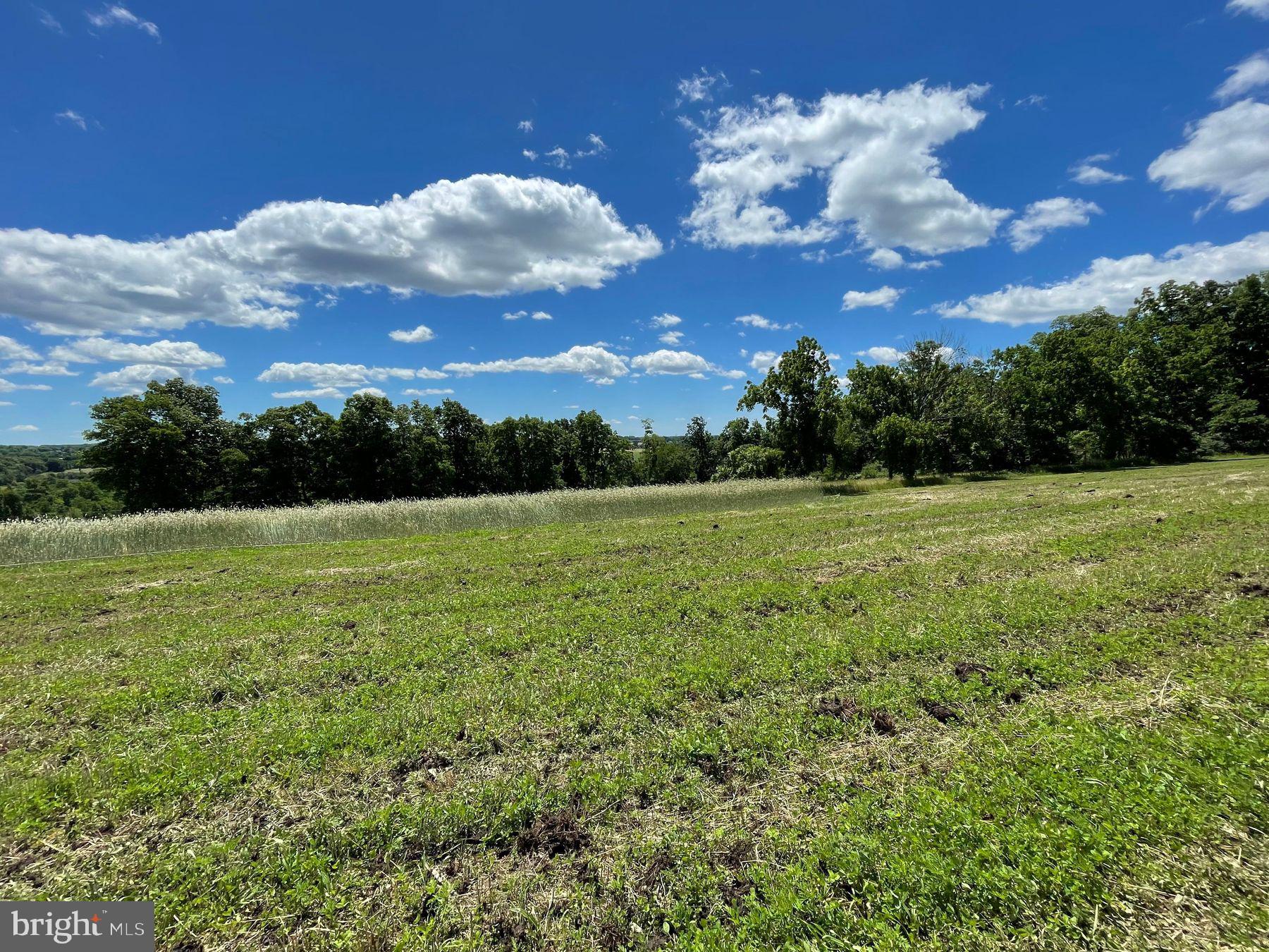 Lot 1 Curly Hill Road Doylestown, PA 18902 - Photo 21 of 40