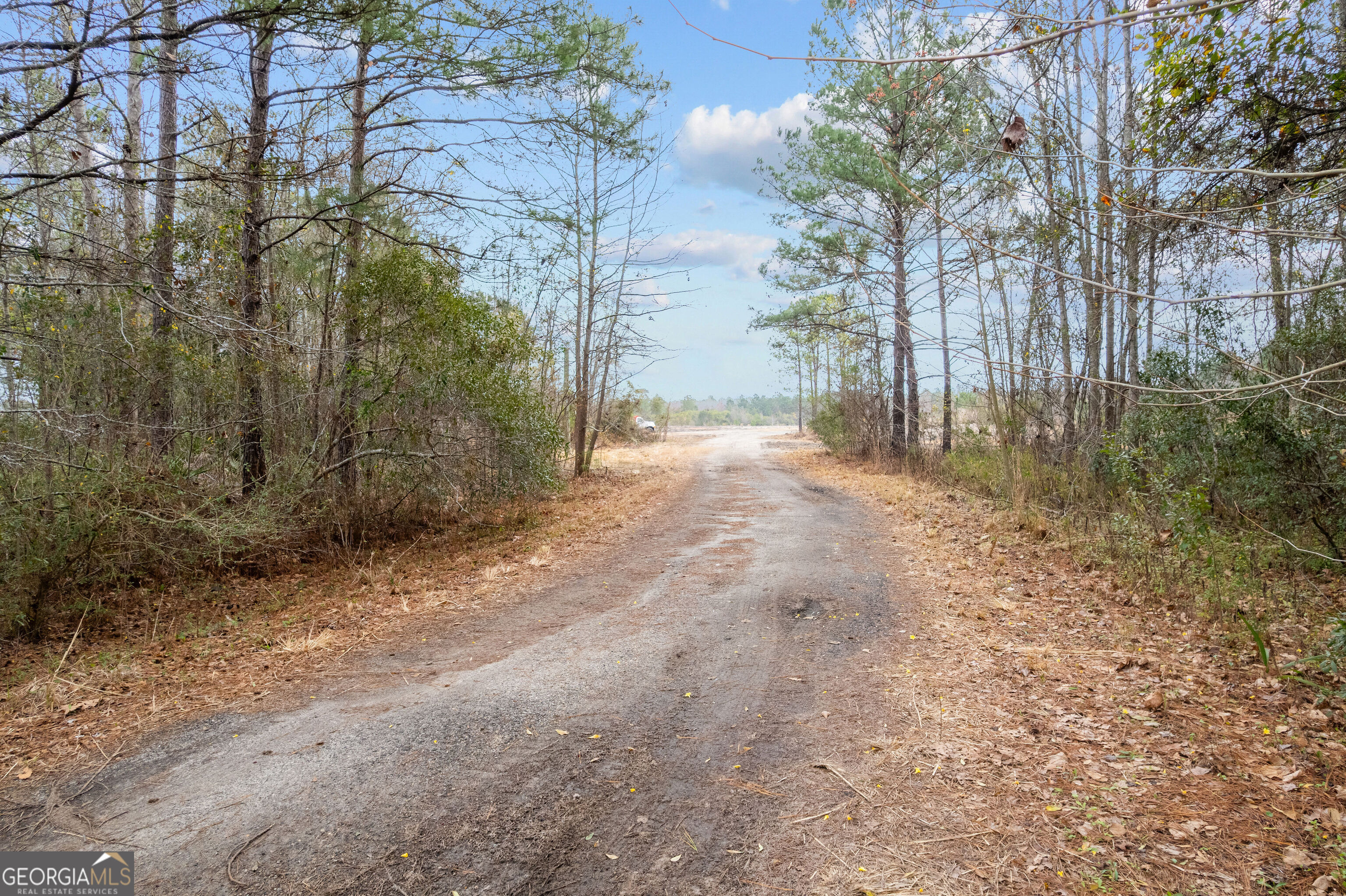 0 North 4th Street Jesup, GA 31545 - Photo 20 of 25