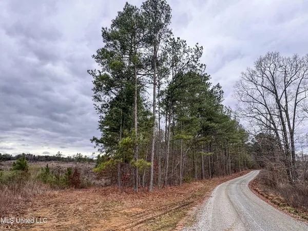 $28,000 | 645 County Road 239, Tillatoba, MS 38961