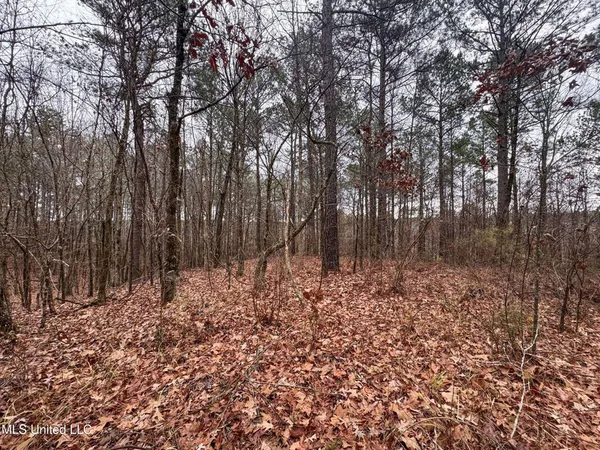 $28,000 | 645 County Road 239, Tillatoba, MS 38961