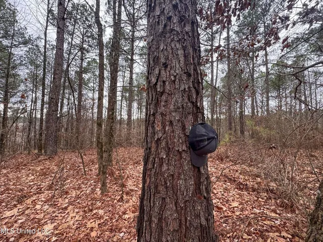 $28,000 | 645 County Road 239, Tillatoba, MS 38961