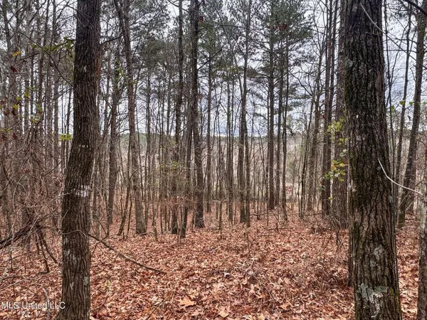 $28,000 | 645 County Road 239, Tillatoba, MS 38961