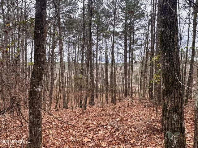 $28,000 | 645 County Road 239, Tillatoba, MS 38961