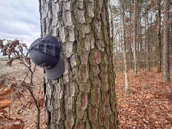 $28,000 | 645 County Road 239, Tillatoba, MS 38961