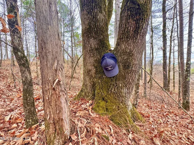 $28,000 | 645 County Road 239, Tillatoba, MS 38961