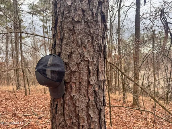 $28,000 | 645 County Road 239, Tillatoba, MS 38961