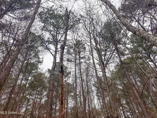 $28,000 | 645 County Road 239, Tillatoba, MS 38961