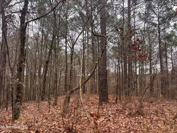 $28,000 | 645 County Road 239, Tillatoba, MS 38961