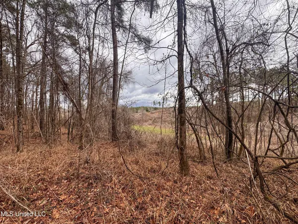 $28,000 | 645 County Road 239, Tillatoba, MS 38961