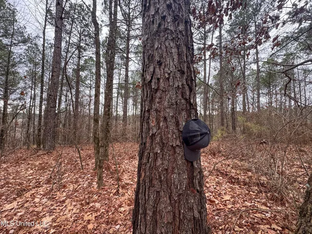 $28,000 | 645 County Road 239, Tillatoba, MS 38961