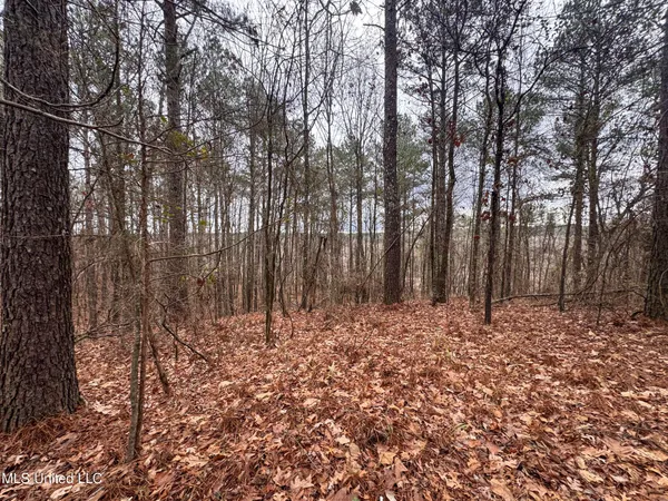 $28,000 | 645 County Road 239, Tillatoba, MS 38961