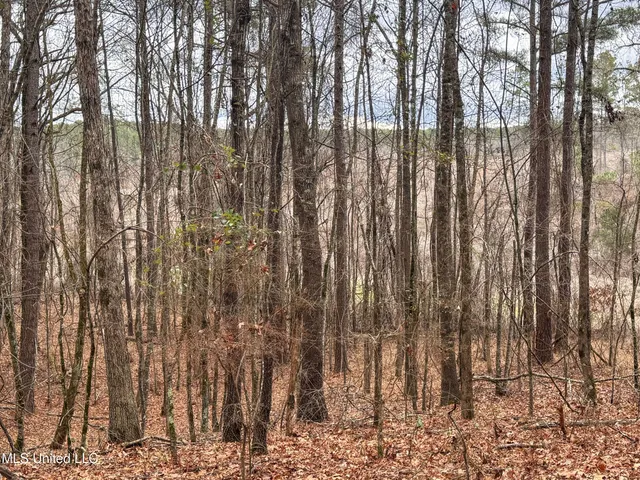 $28,000 | 645 County Road 239, Tillatoba, MS 38961