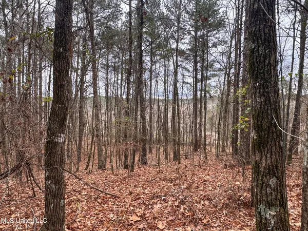 $28,000 | 645 County Road 239, Tillatoba, MS 38961