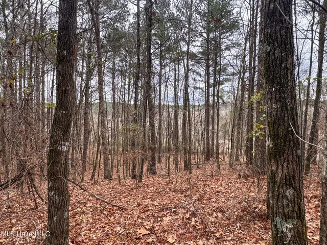 $28,000 | 645 County Road 239, Tillatoba, MS 38961