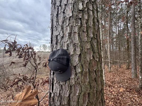 $28,000 | 645 County Road 239, Tillatoba, MS 38961