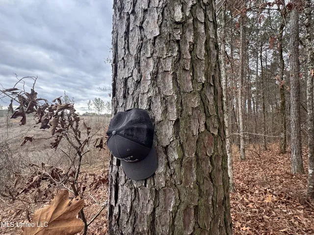 $28,000 | 645 County Road 239, Tillatoba, MS 38961