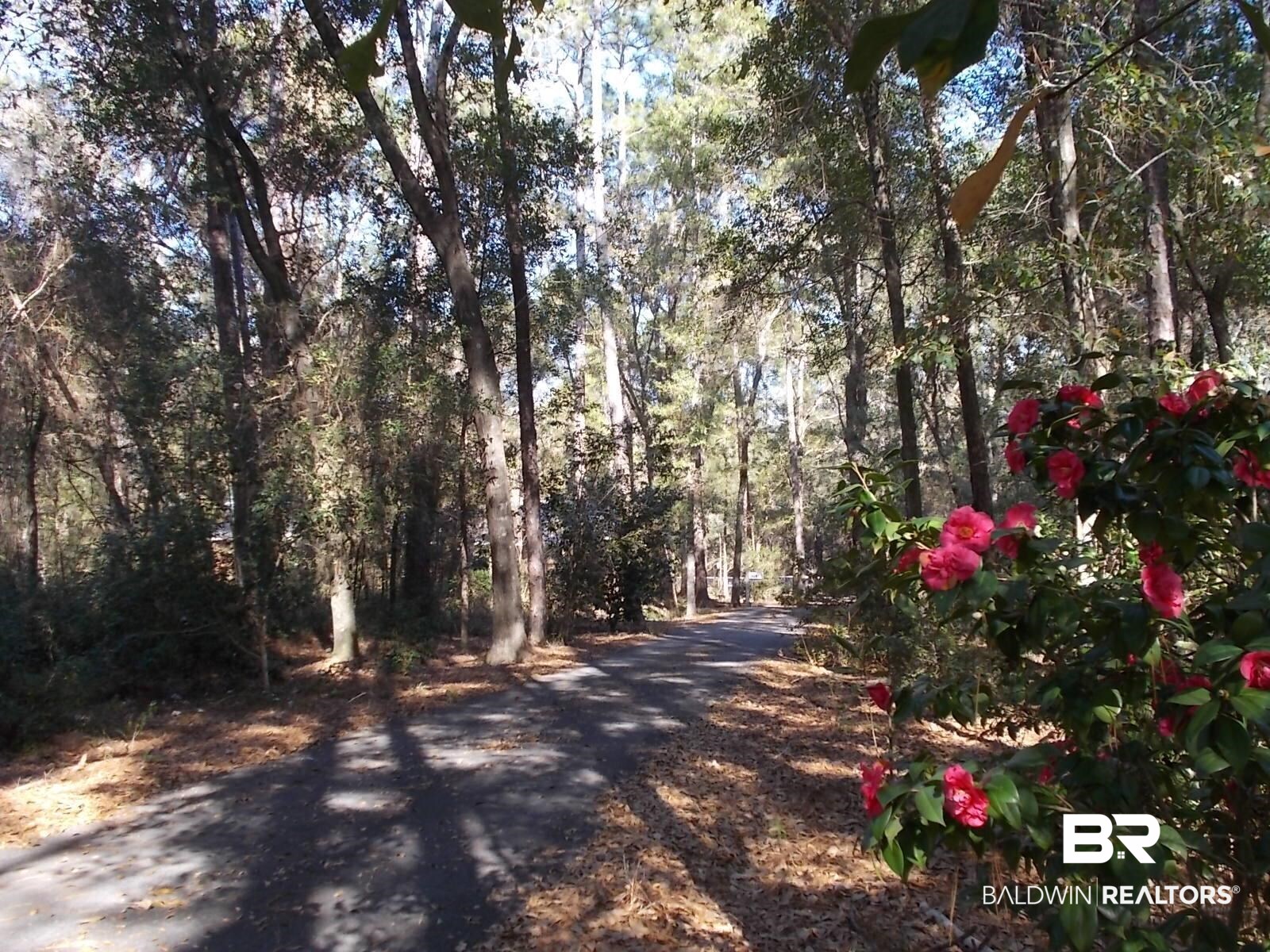 14287 County Road 48 Silverhill, AL 36576 - Photo 27 of 28 Site/Driveway