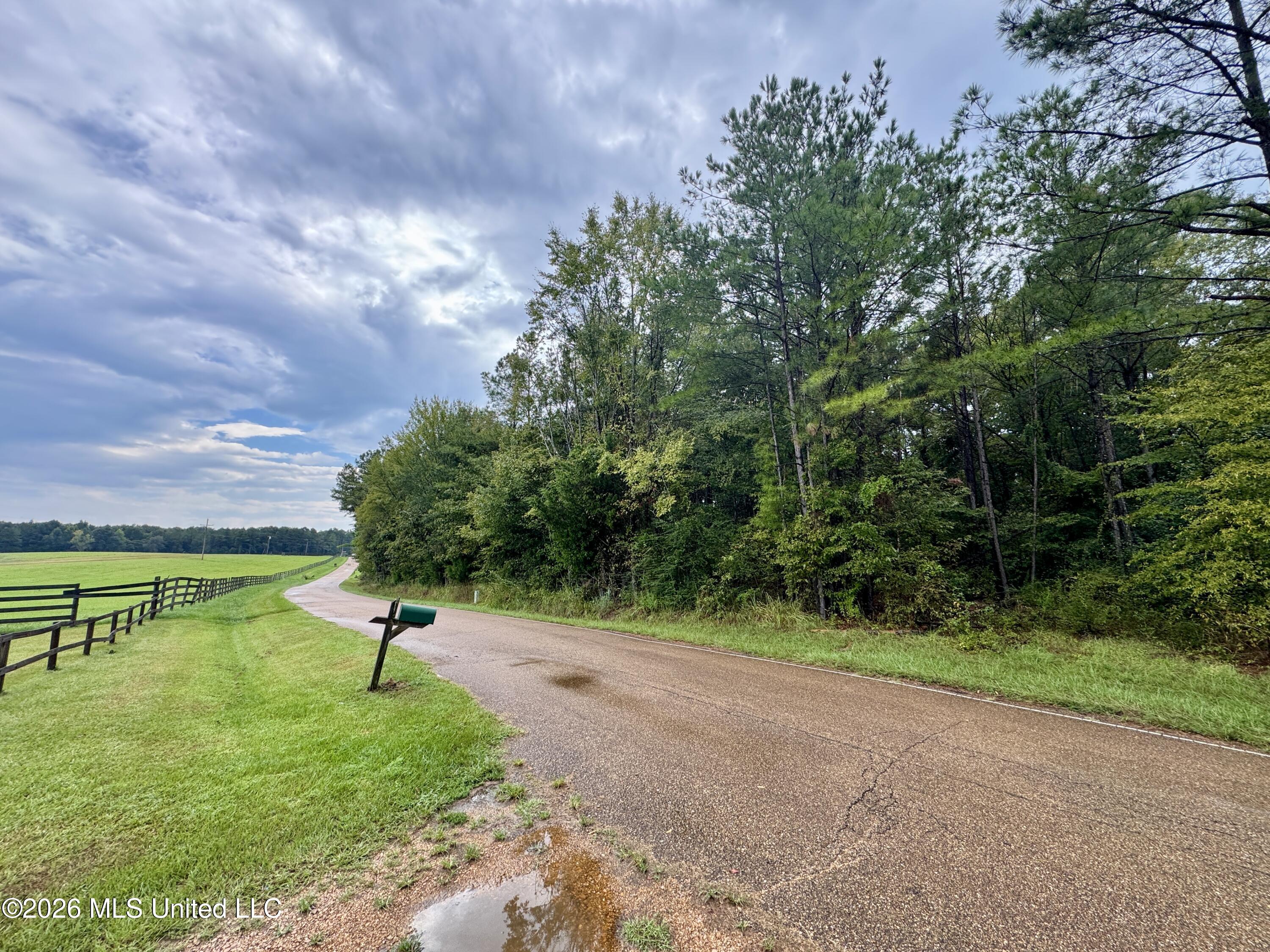 1 Tithelo Road Canton, MS 39046 - Photo 10 of 16 E327D079-7835-4ED2-AB63-0D60834CFFEB_1_2