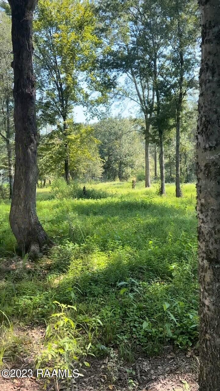 903 Benoit Road Carencro, LA 70520 - Photo 10 of 14 Gallery Image 10