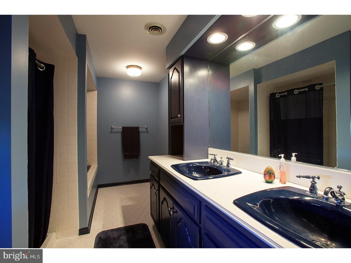 6821 Upper York Road New Hope, PA 18938 - Photo 18 of 25 Bathroom
