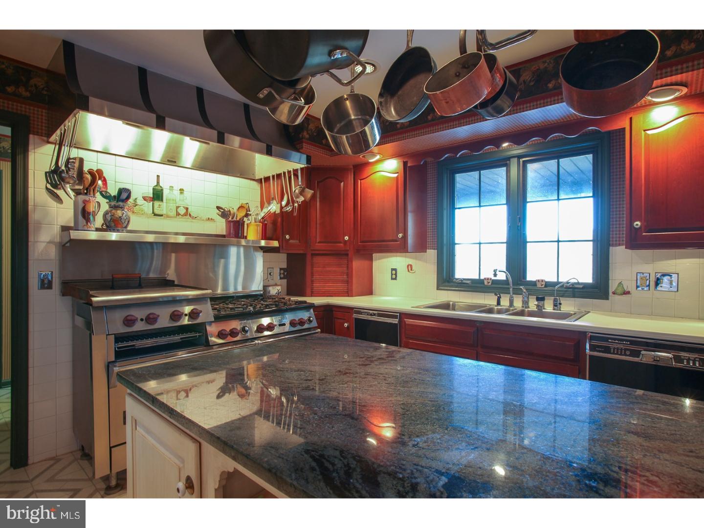 6821 Upper York Road New Hope, PA 18938 - Photo 10 of 25 Kitchen