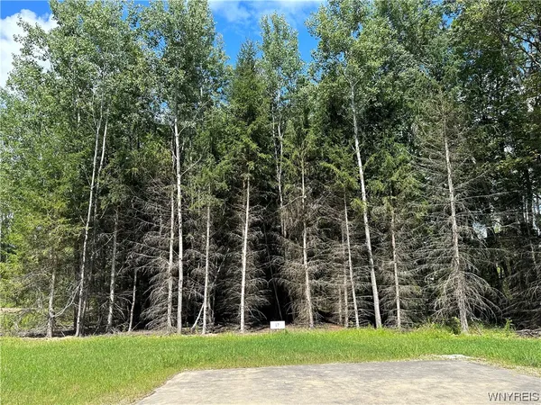 $75,000 | Lot 17 Tanglewood Development, Allegany, NY 14706