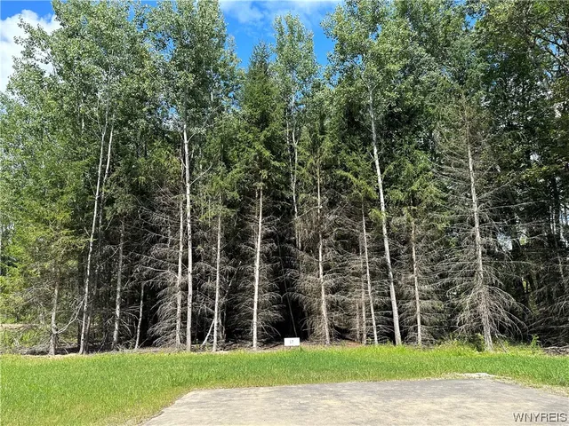 $75,000 | Lot 17 Tanglewood Development, Allegany, NY 14706