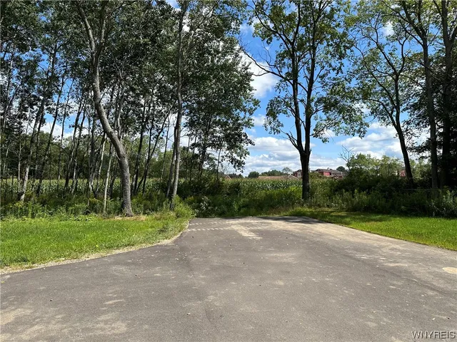 $75,000 | Lot 17 Tanglewood Development, Allegany, NY 14706