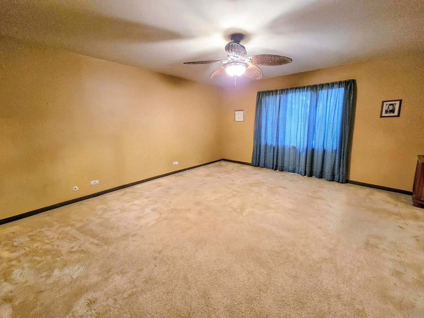 24656 South Willow Brook Trail Crete, IL 60417 - Photo 22 of 39 an empty room with a chandelier fan