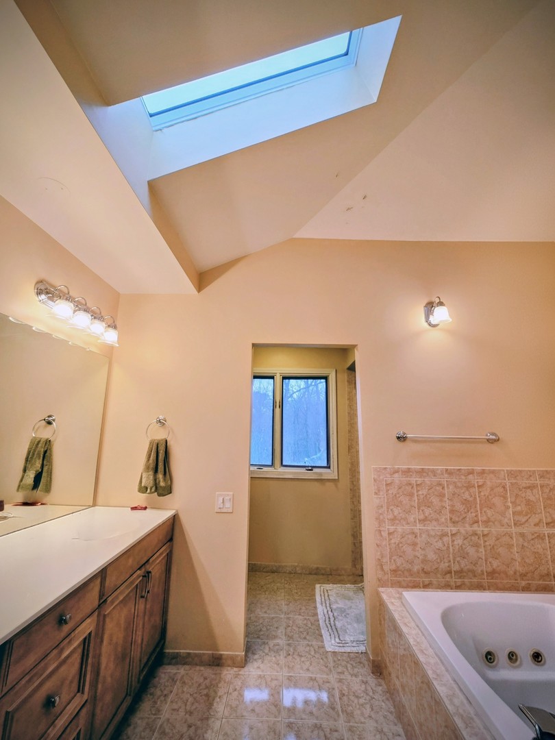 24656 South Willow Brook Trail Crete, IL 60417 - Photo 25 of 39 a bathroom with a tub sink and mirror