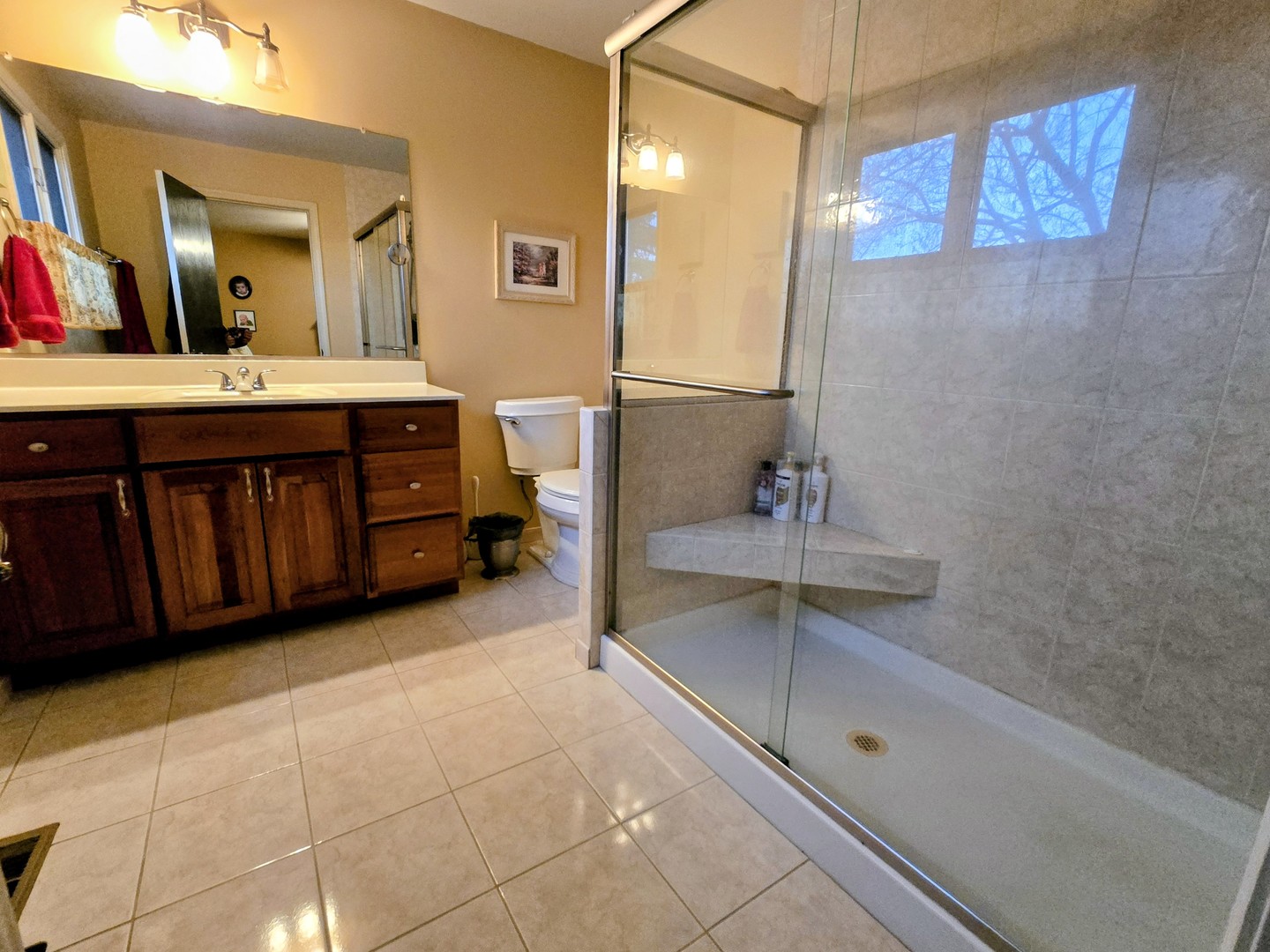 24656 South Willow Brook Trail Crete, IL 60417 - Photo 30 of 39 a bathroom with a sink and a mirror