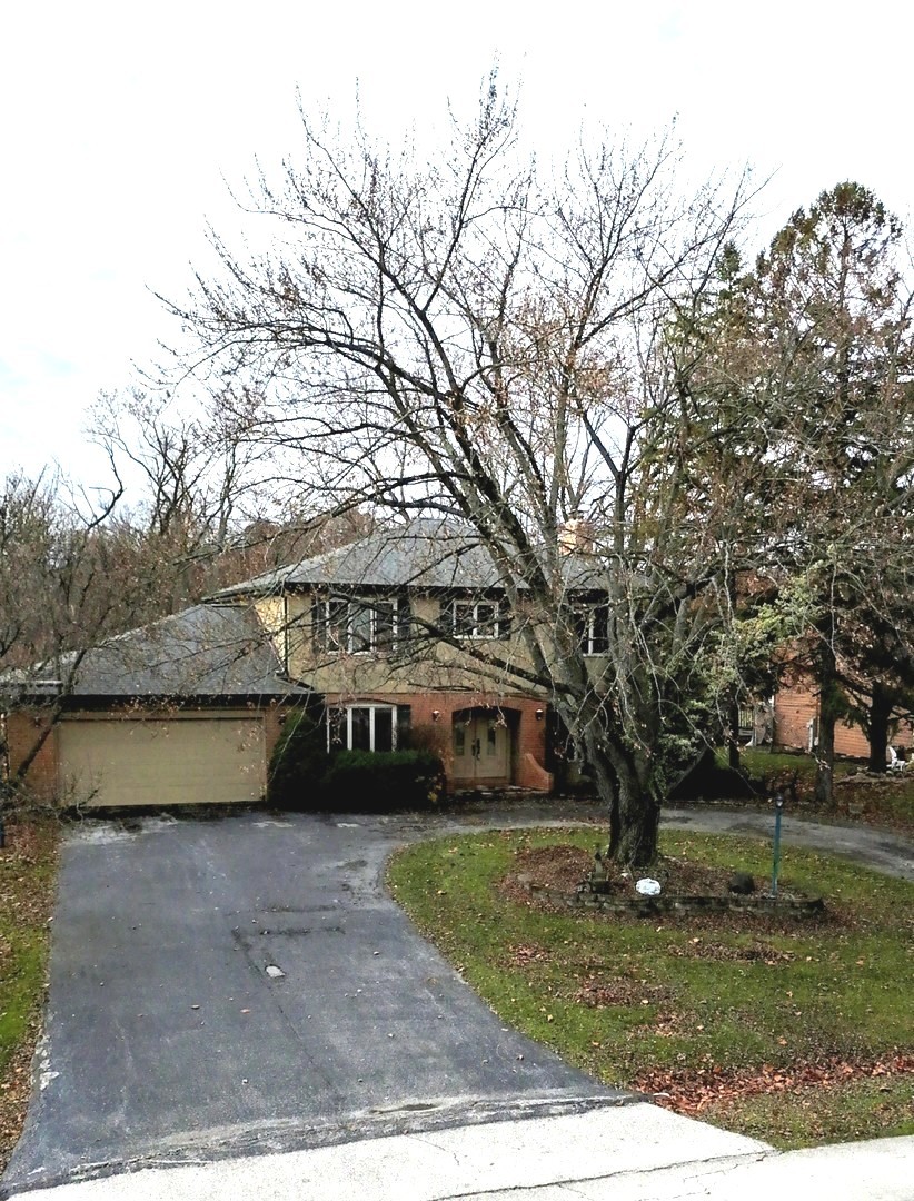 24656 South Willow Brook Trail Crete, IL 60417 - Photo 32 of 35