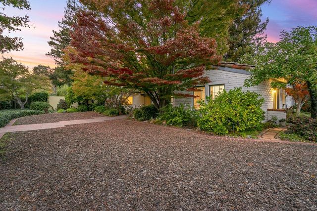 a view of a backyard with large trees