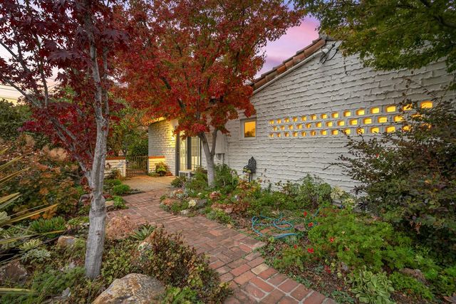 a view of a house with a tree and plants