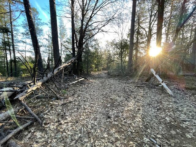 160 Ac Road Oak Run, CA 96069 - Photo 10 of 39 20240322022055891654000000-o