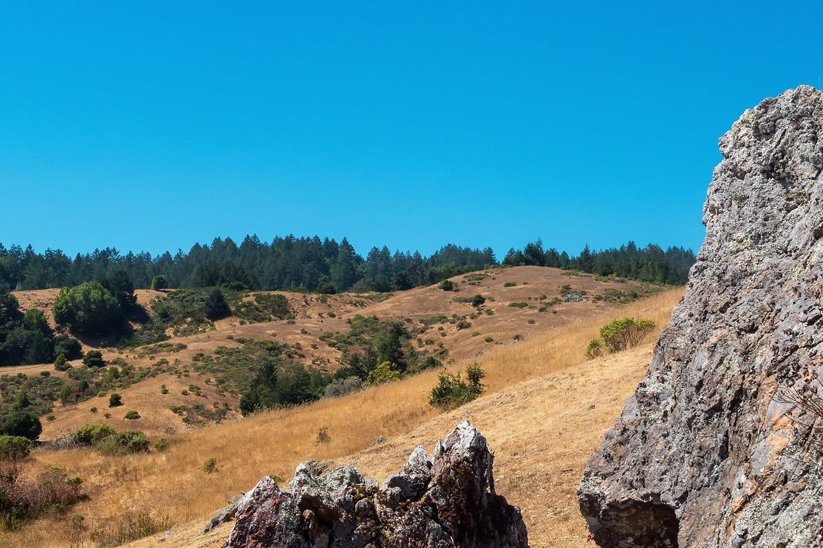 0 West Nicasio Road Forest Knolls, CA 94933 - Photo 19 of 36