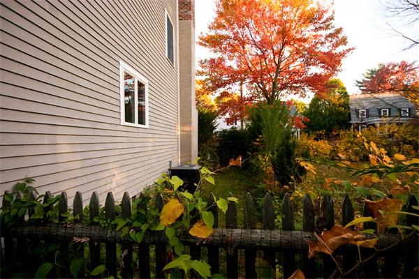 11 Alfreton Road Needham, MA 02494 - Photo 17 of 21