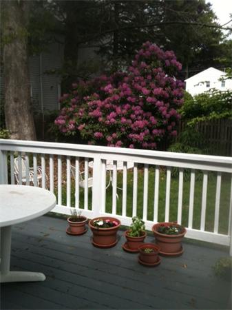 11 Alfreton Road Needham, MA 02494 - Photo 20 of 21