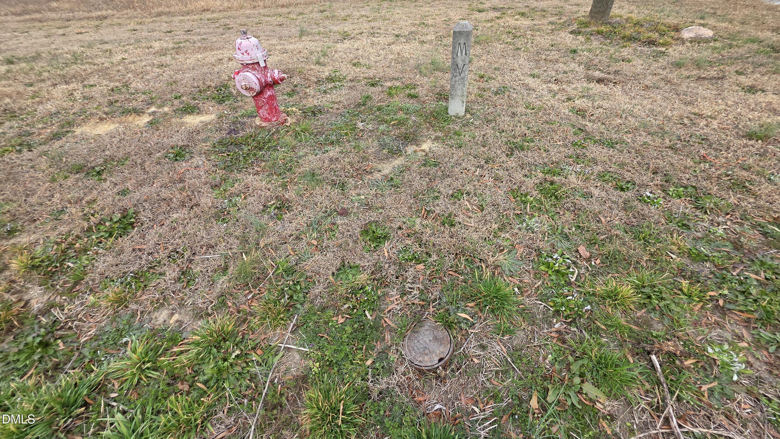 3511 Highway 231 Wendell, NC 27591 - Photo 3 of 6 a view of a backyard