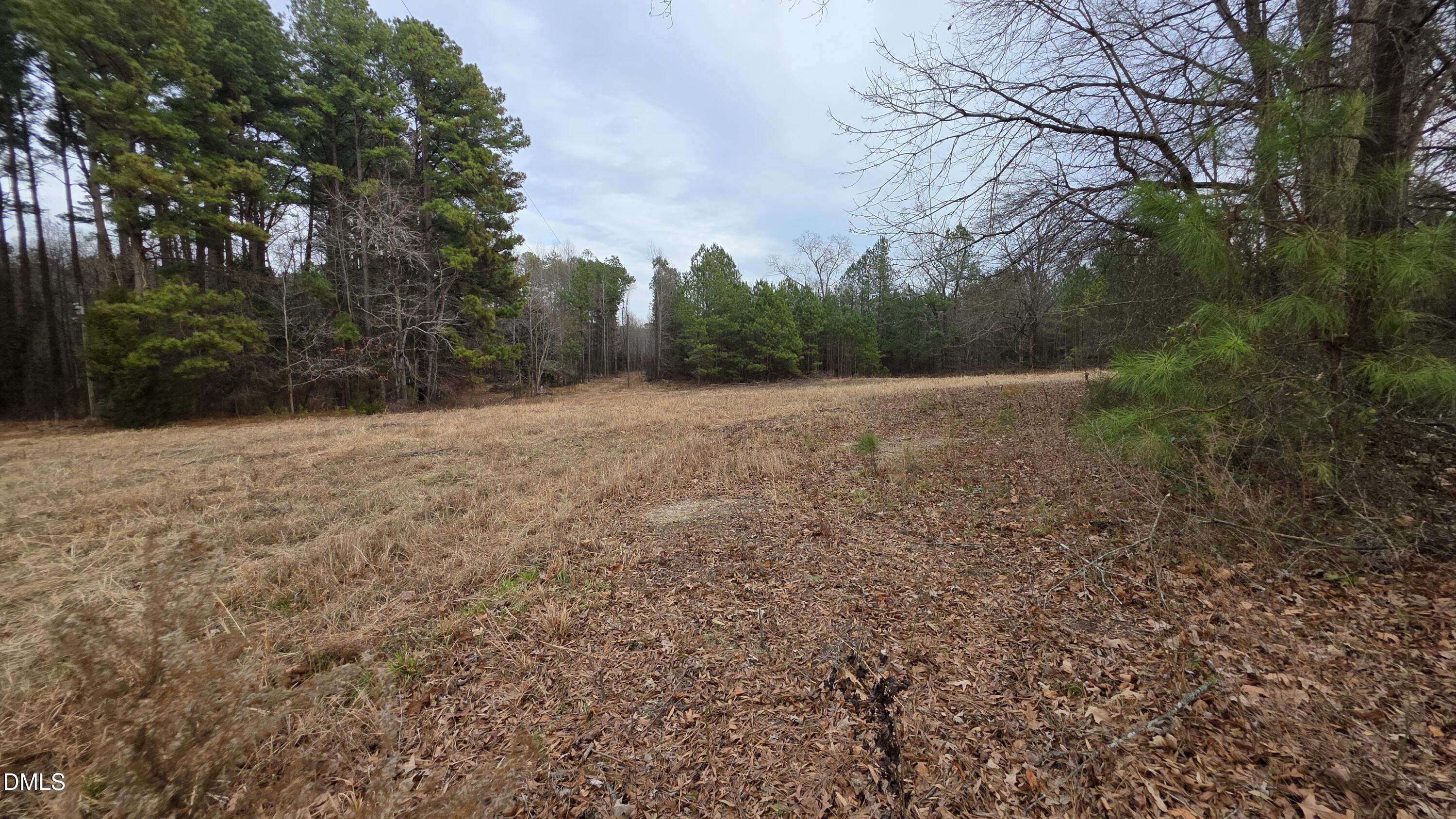 3511 Highway 231 Wendell, NC 27591 - Photo 4 of 6 a backyard of a house with lots of green space
