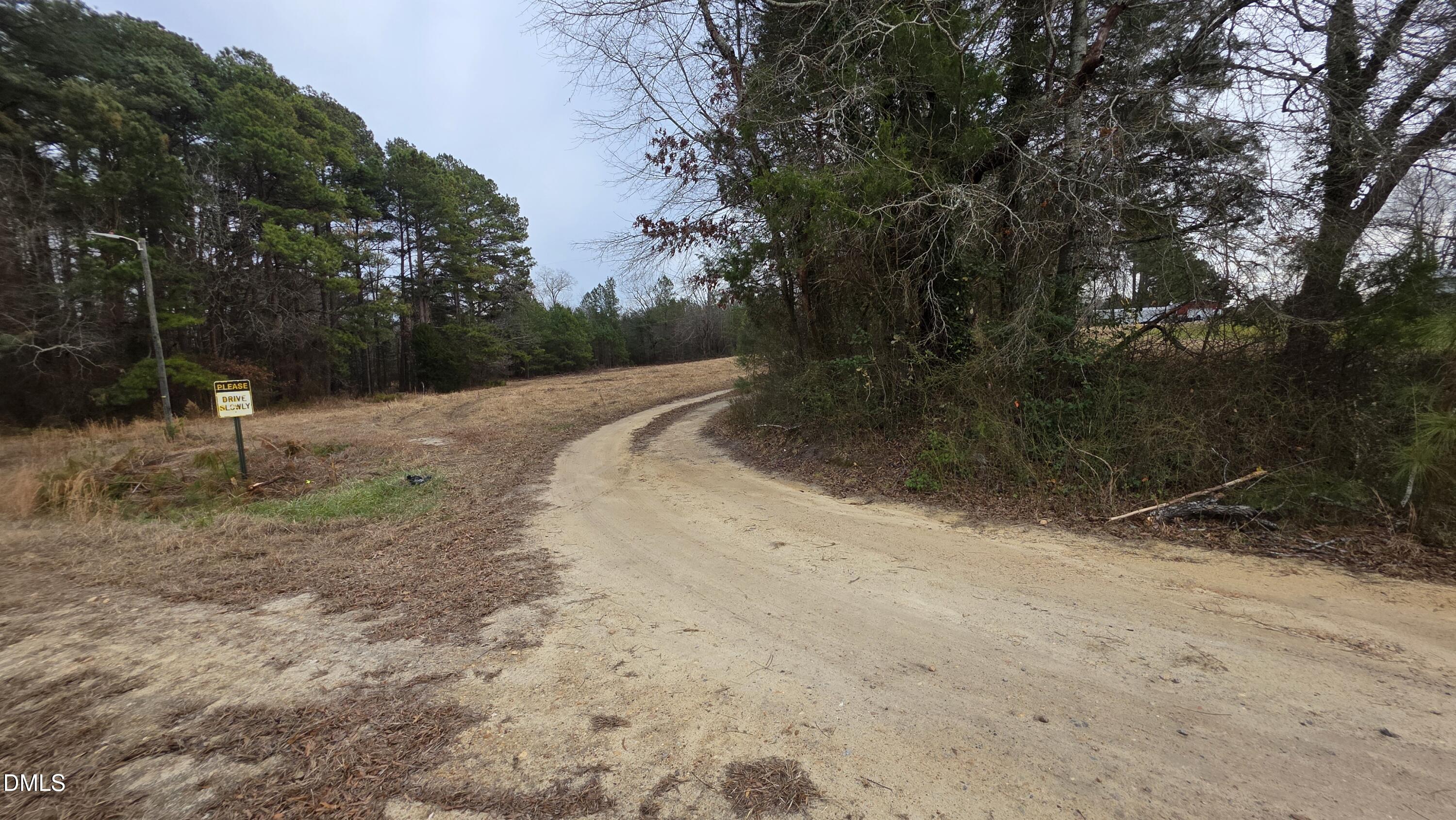 3511 Highway 231 Wendell, NC 27591 - Photo 5 of 6 a view of a dirt road with trees